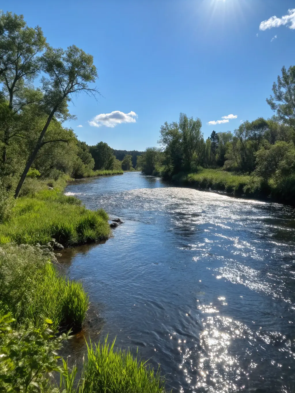A photograph of a clean river flowing through a forest, illustrating the organization's efforts to protect water resources and maintain healthy ecosystems.